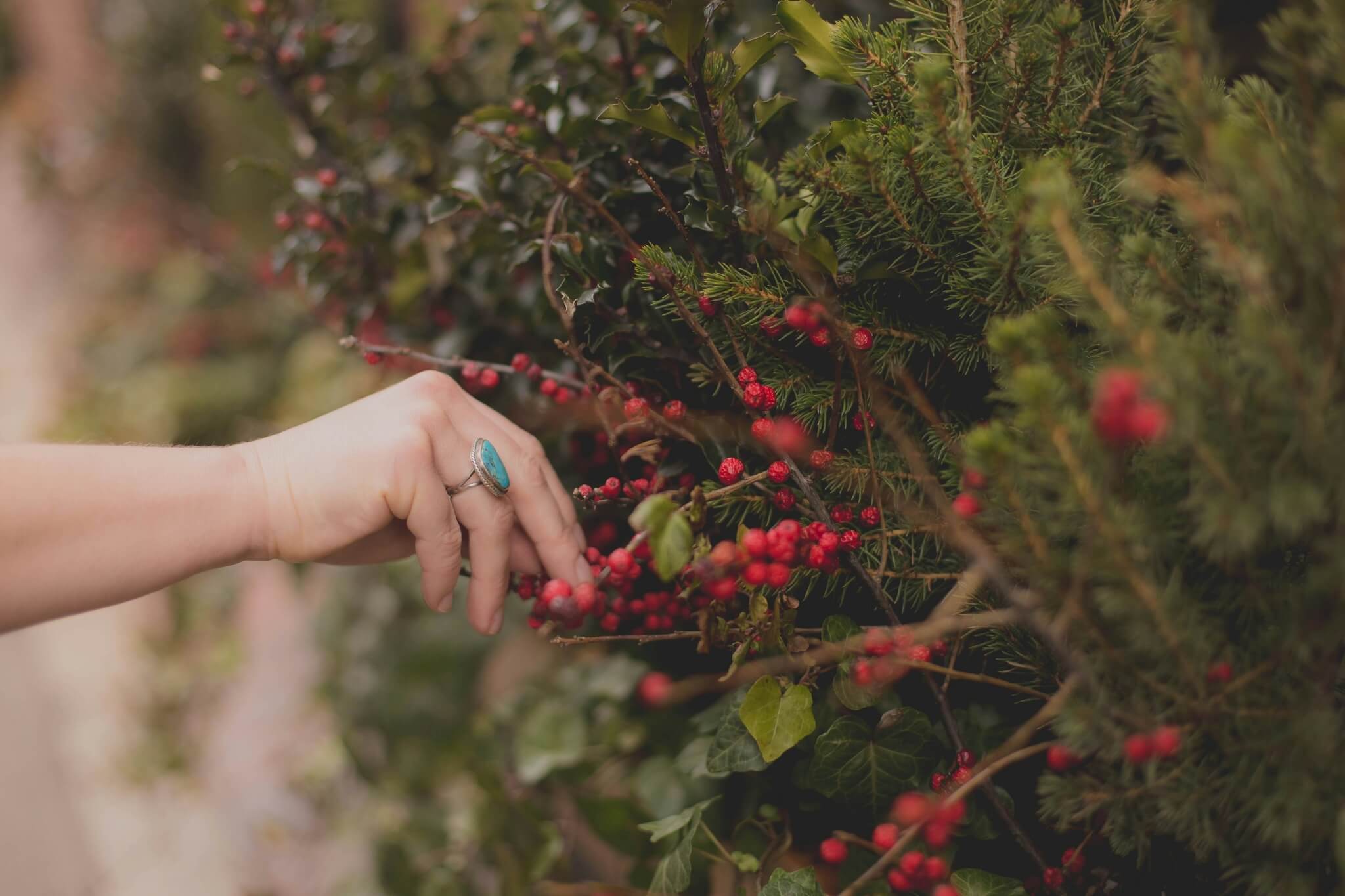 Picking some fruits